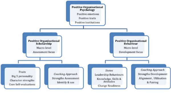 The Origins of Positive Leadership