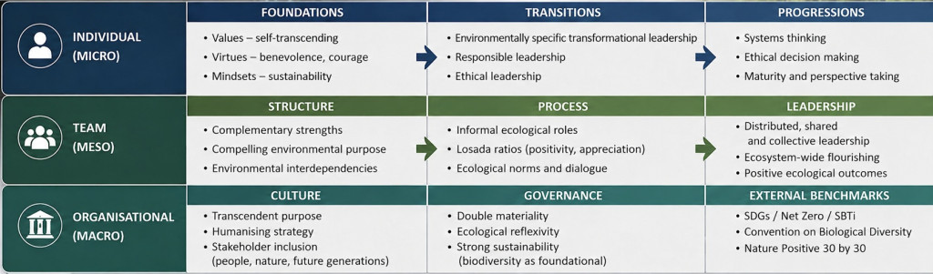 Three-domain model of climate change leadership