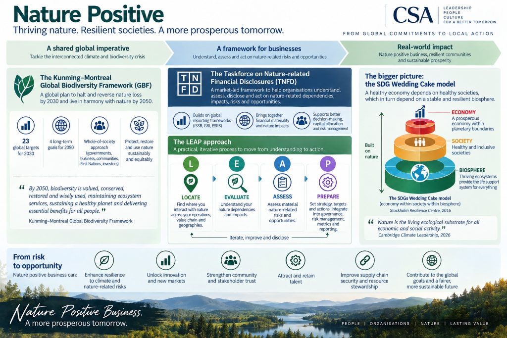 Nature Positive frameworks: Global Biodiversity Framework, TNFD and LEAP